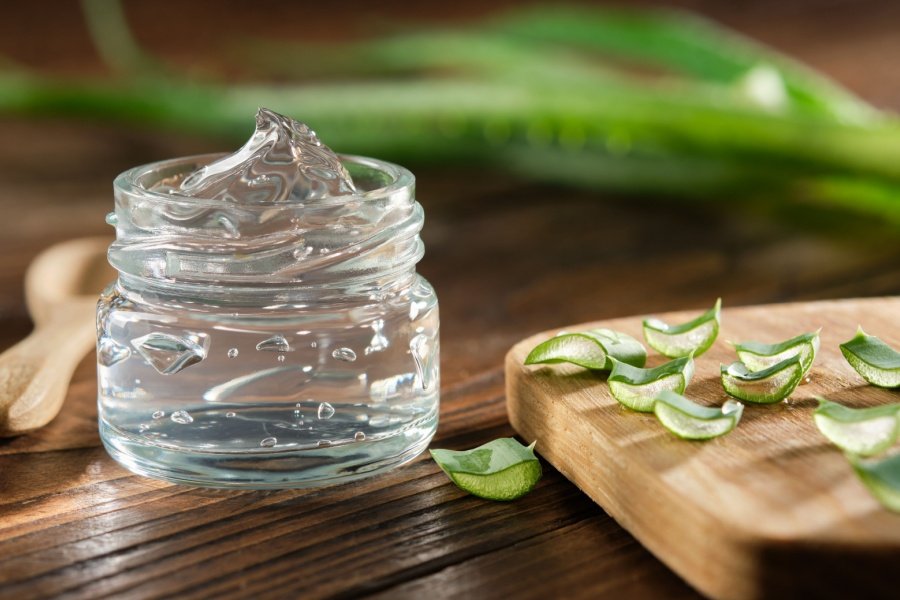 aloe vera