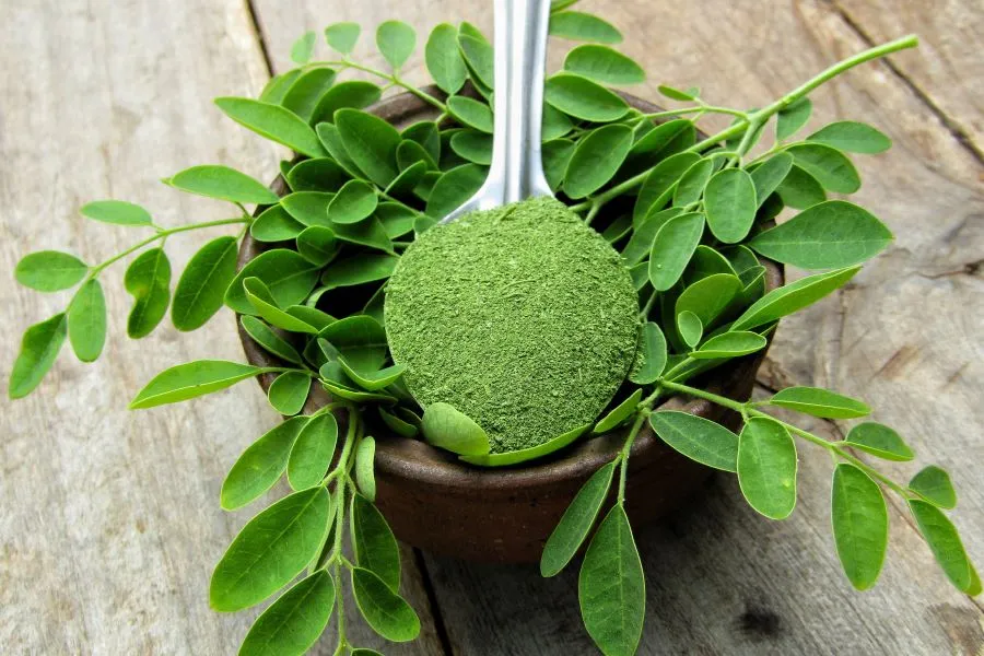 powdered moringa