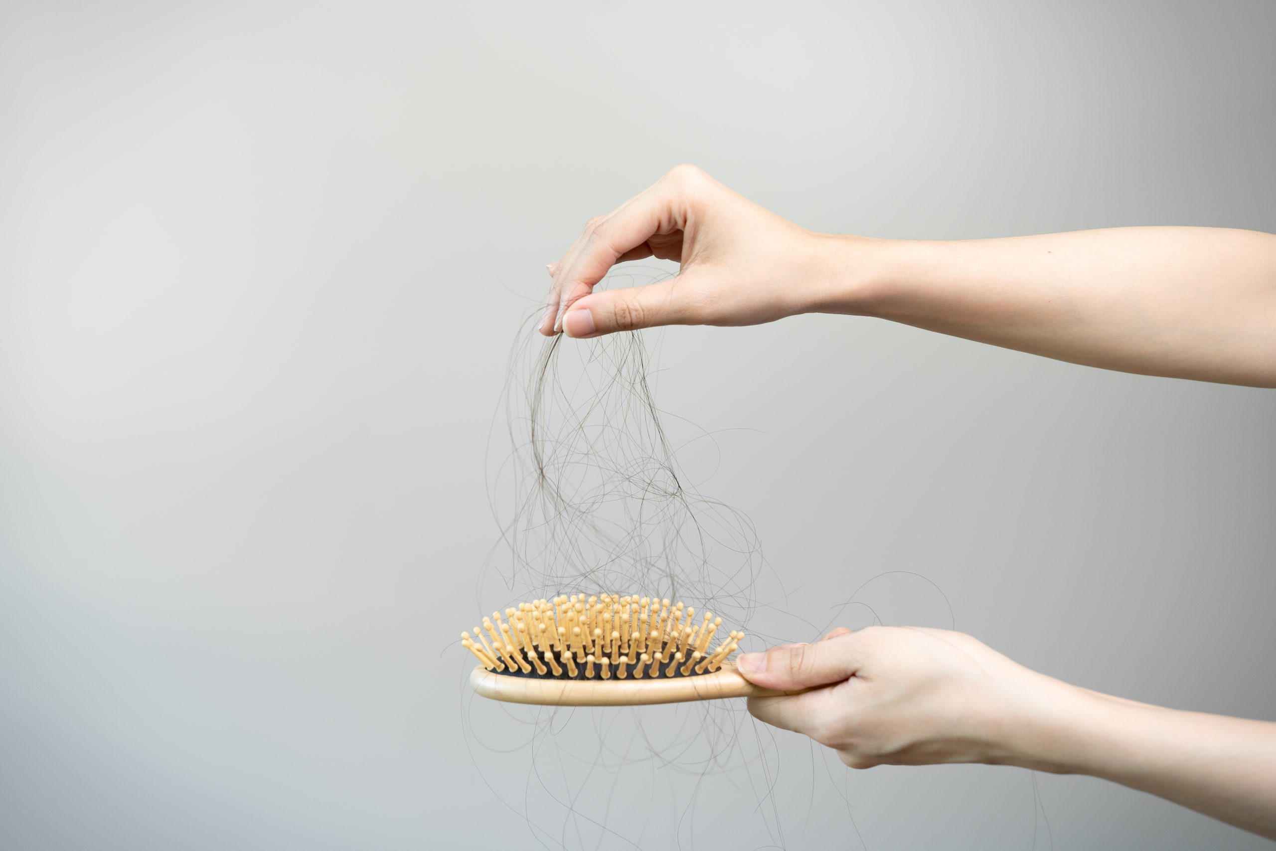 hair stuck on a hair brush